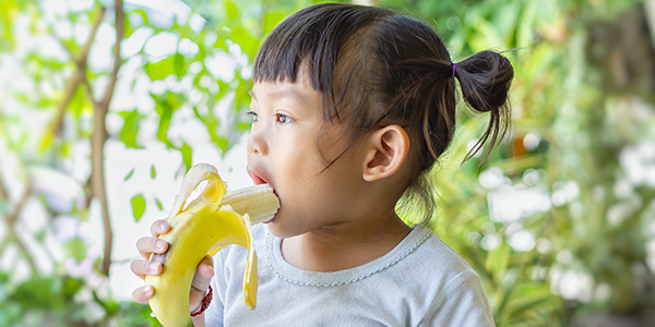 What You Need To Know About Nutrition And Short Gut Syndrome - Eclipse Regenesis Blog - Image1 What You Need To Know About Nutrition And Short Gut Syndrome - Eclipse Regenesis Blog - Image1